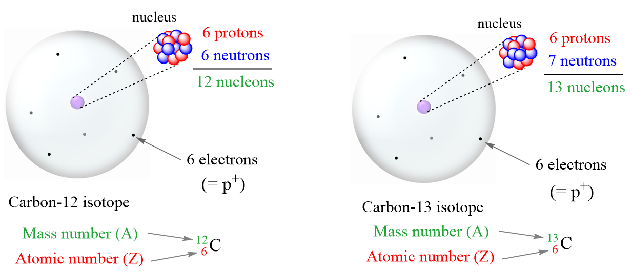 Isotopes protons neutrons electrons and mass number