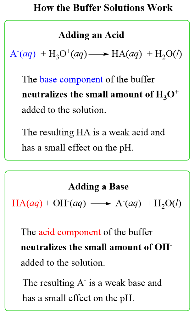 Buffers, Buffer Components and Buffer Action, Chemistry