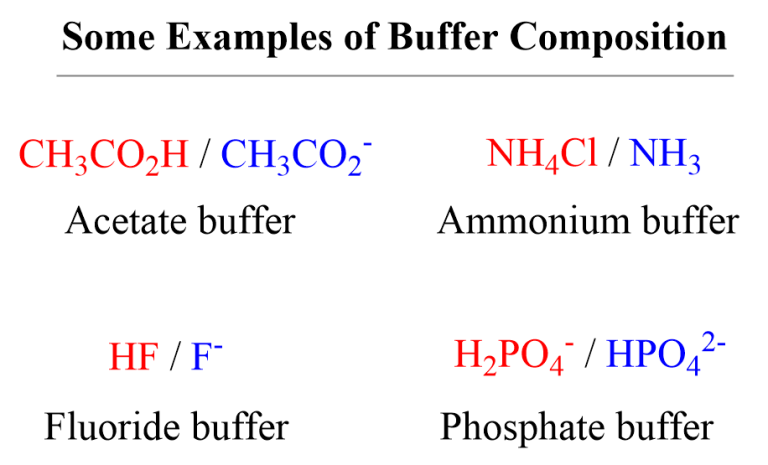 What Is The Function Of A Buffer Quizlet