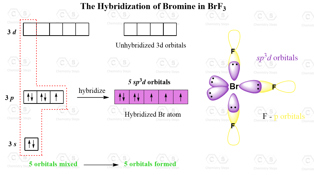 BrF3 hybridization