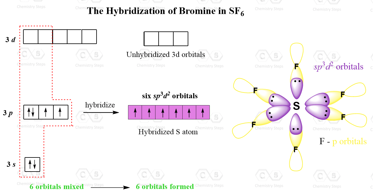 sp orbital shape