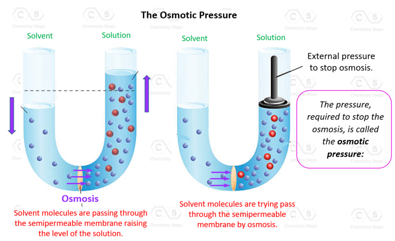 Osmotic Pressure Chemistry Steps