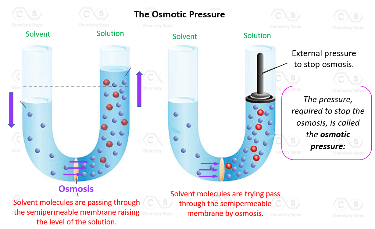 What Is The Meaning Of Blood Osmotic Pressure