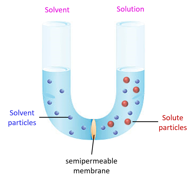 Osmotic Pressure Chemistry Steps