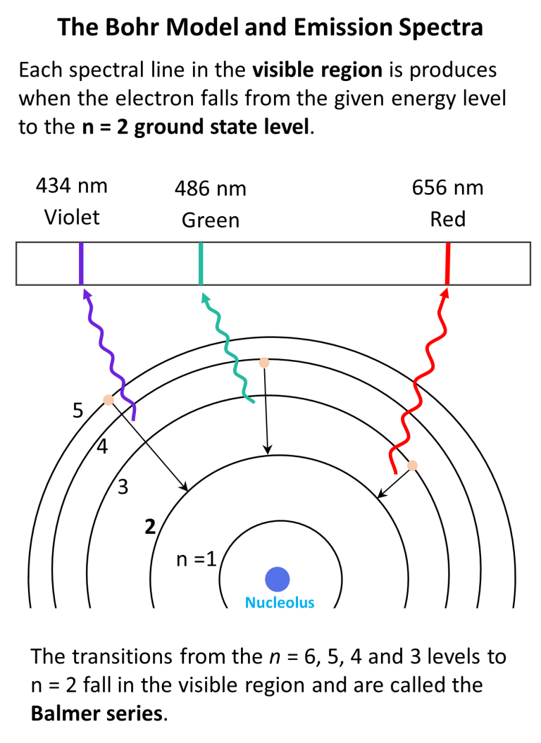 write two postulates of bohr model of hydrogen atom